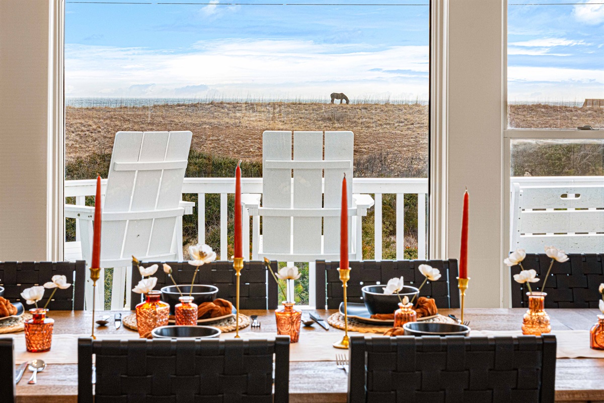 Watch the horses graze on the dunes