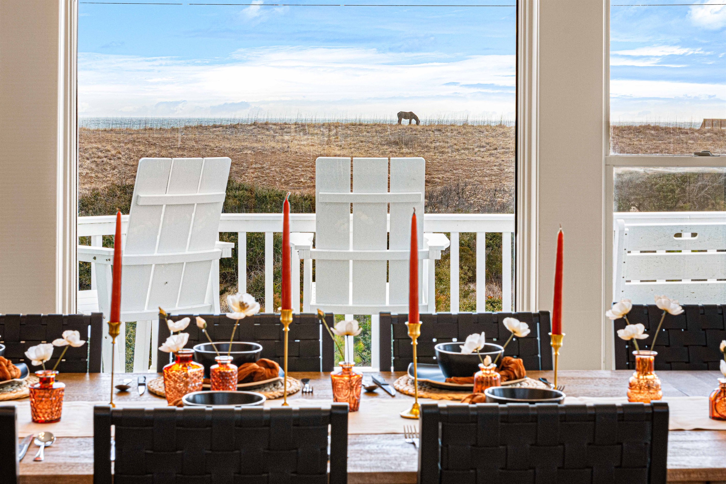 Watch the horses graze on the dunes