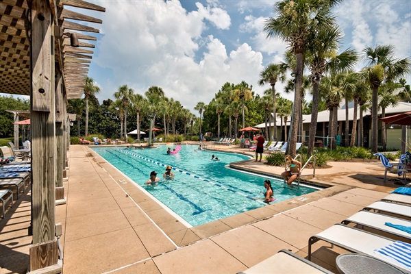 Dragonfly Pool just steps from the House