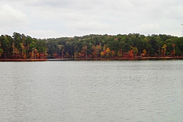 Fall views in Lake Wedowee