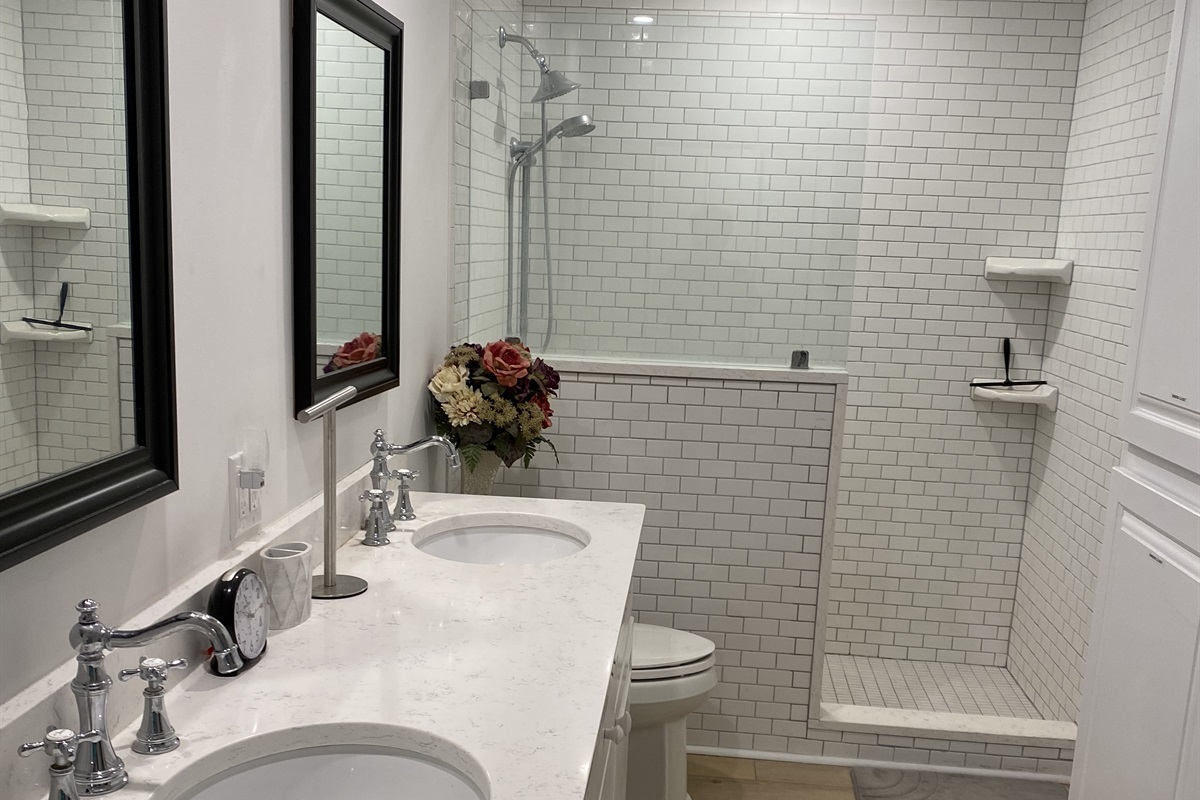 Main bathroom with skylight and screwed in hand bar