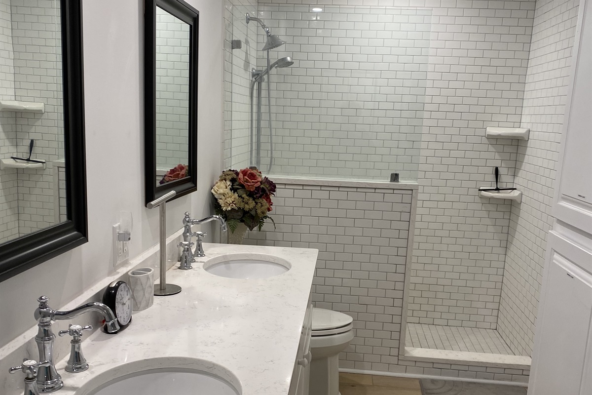 Main bathroom with skylight