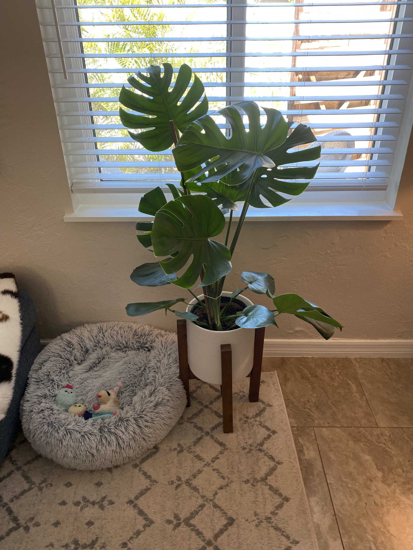 Live plants throughout