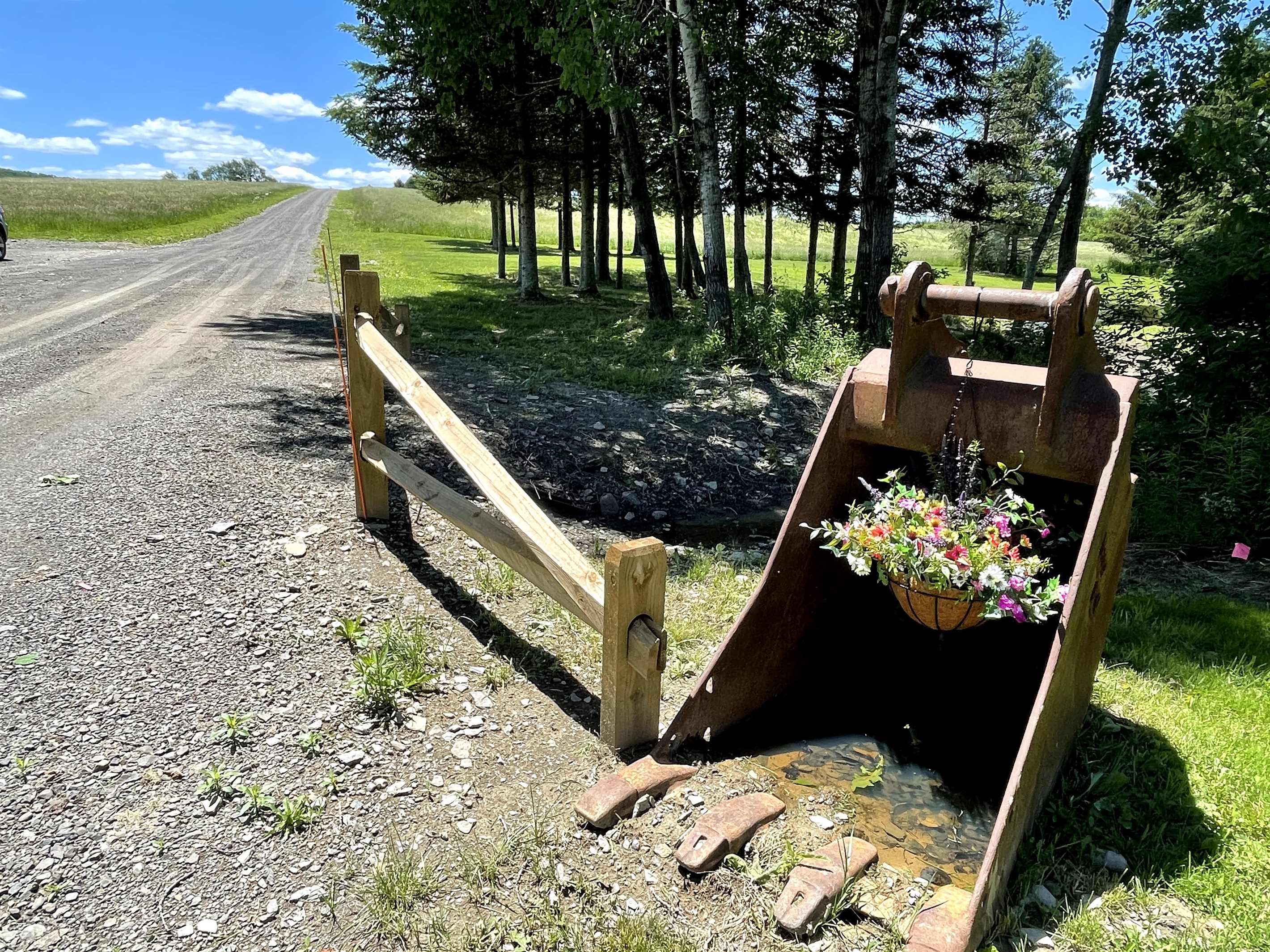 Entrance and driveway