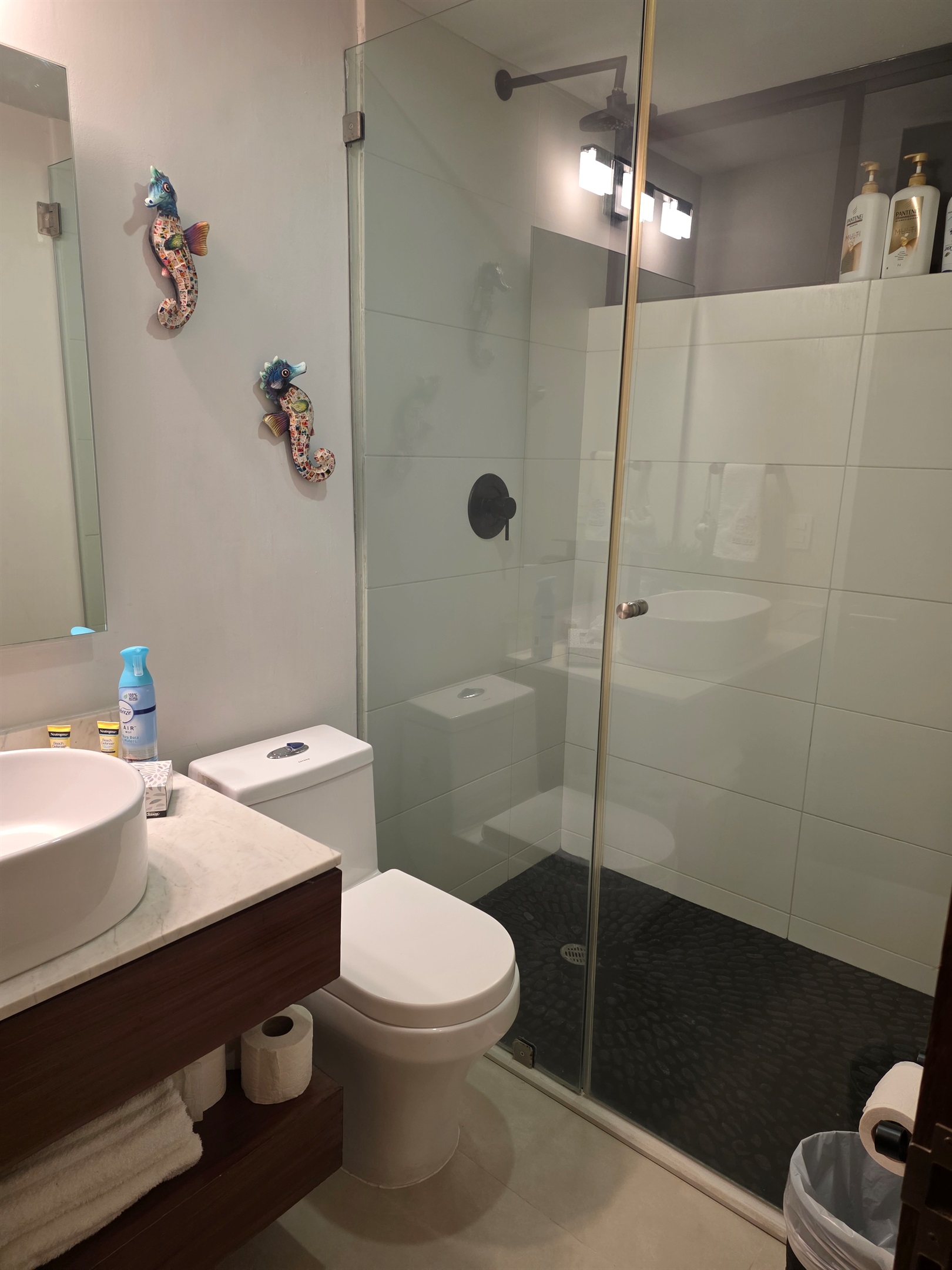 Masterbedroom  bathroom