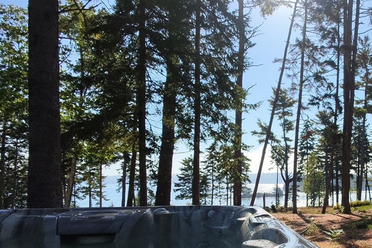 Panoramic views while soaking in the hot tub.