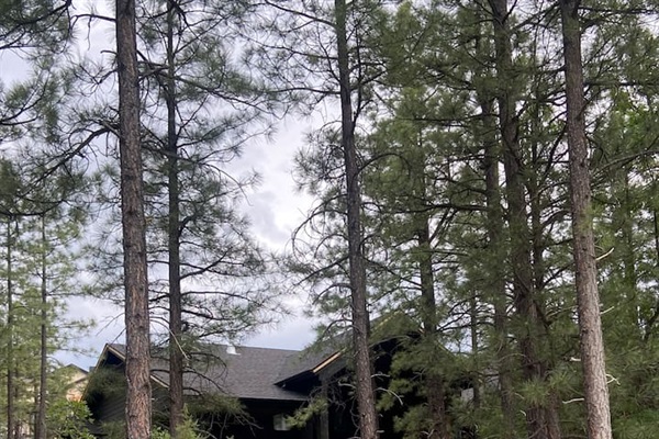 Book your stay at Sage Cabin today!