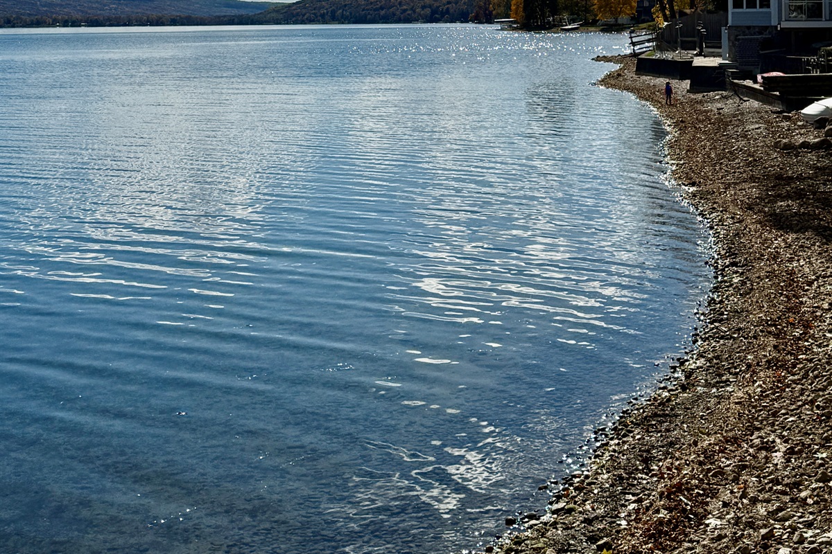 Huge Shoreline, 2 paths to Lake