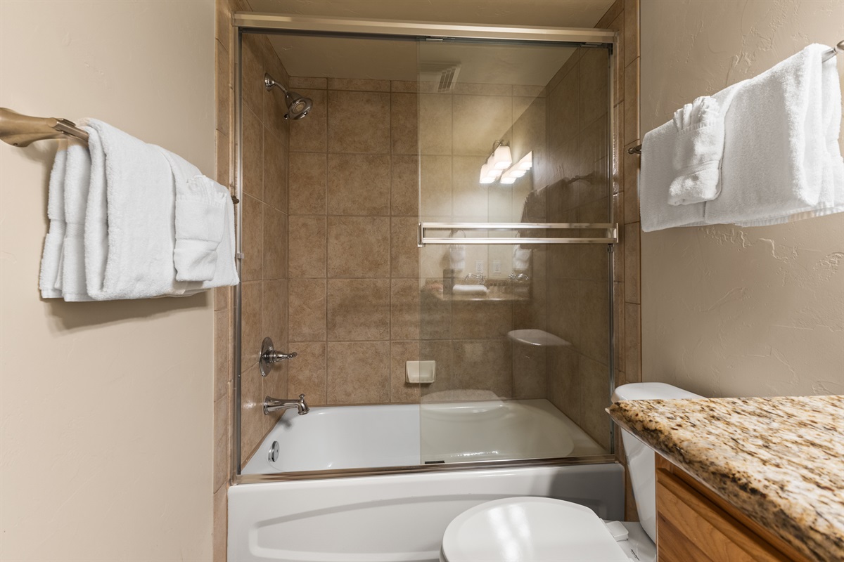 Bathroom 3 | Shower and Tub Combo