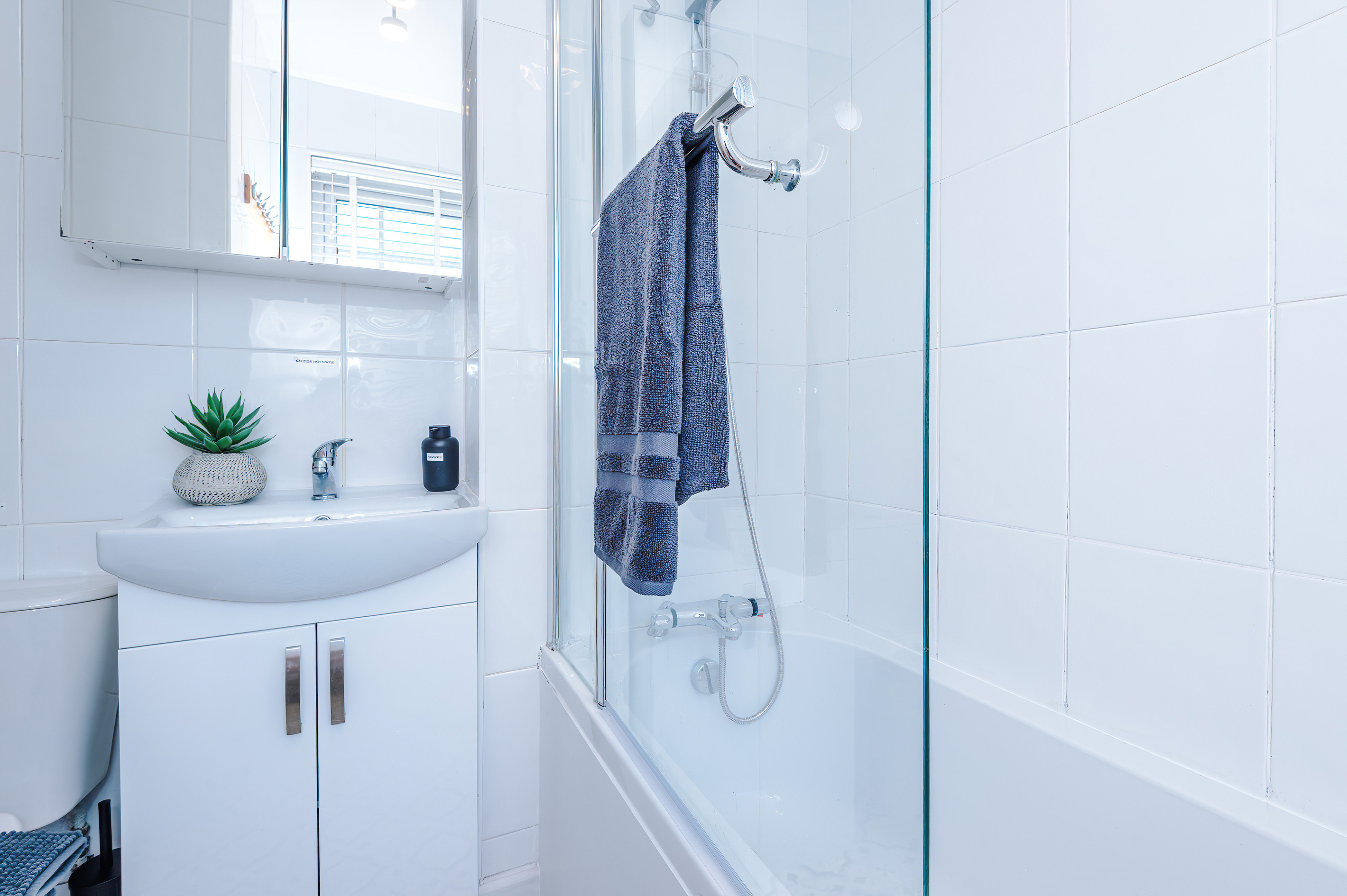 Ensuite bathroom with shower