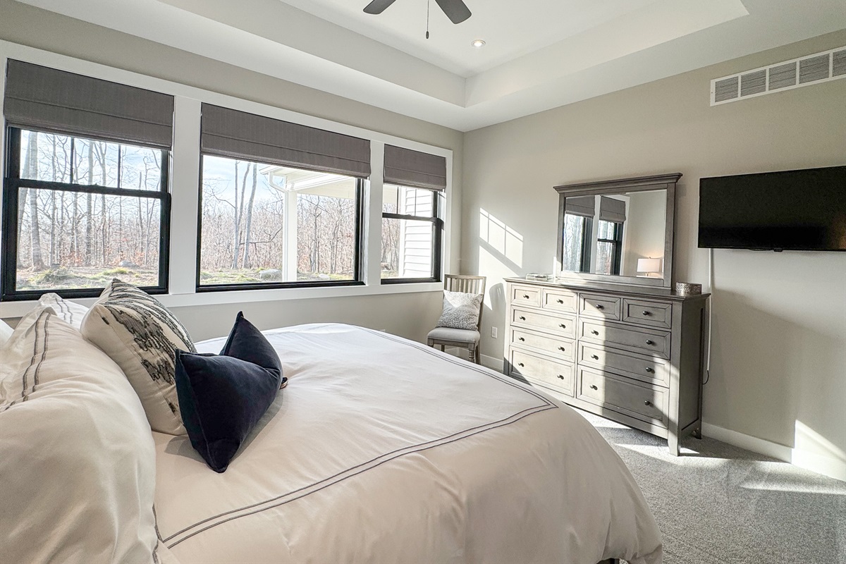 Primary bedroom with tv and streaming services.