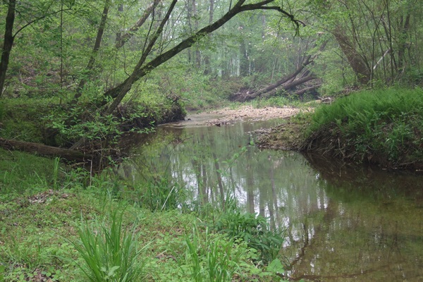 Creek at the back border of the property.