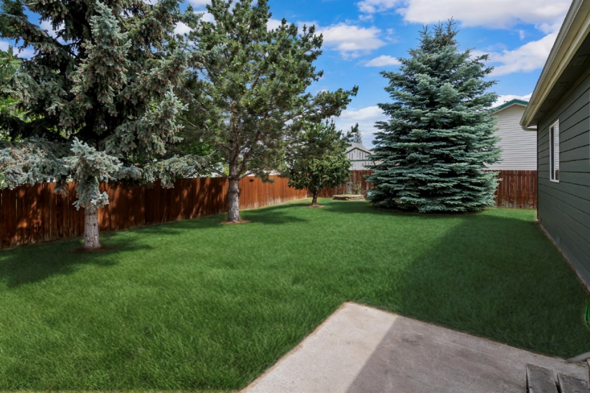 Backyard