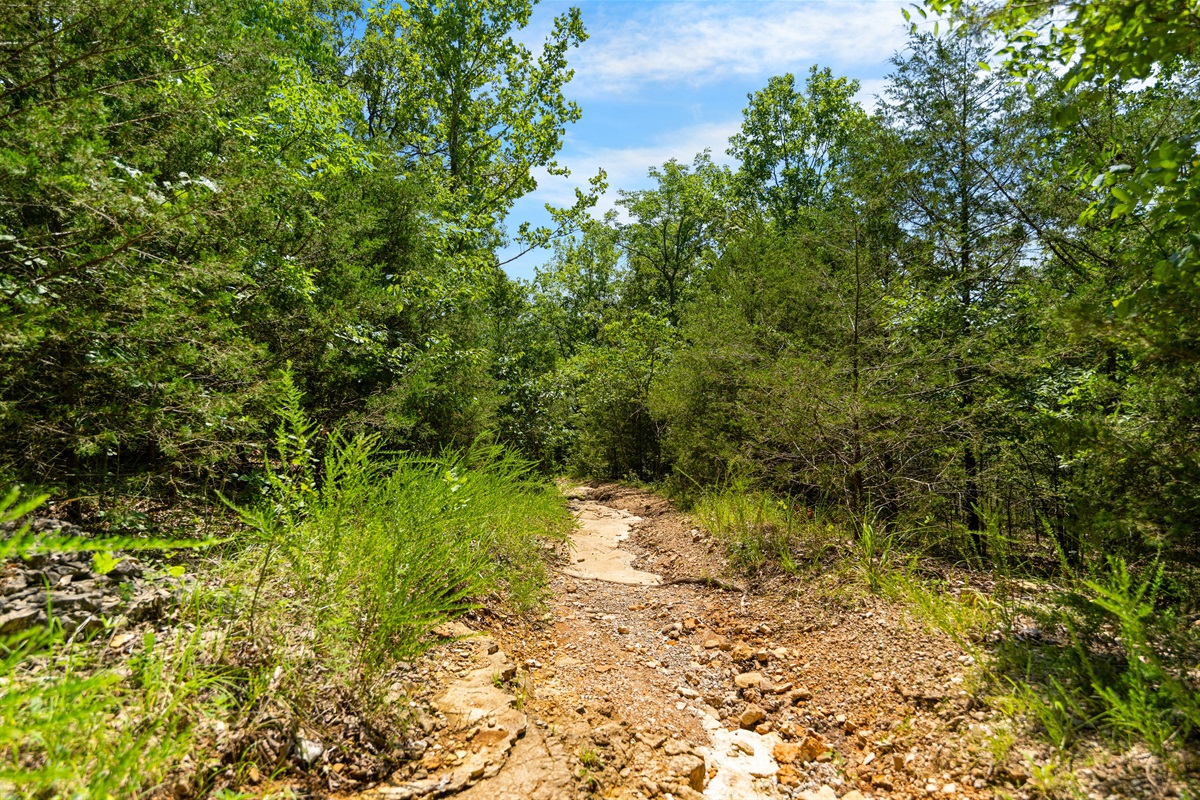 When you want a slower pace, the wooded surroundings make it easy to step away from the crowds and unwind.