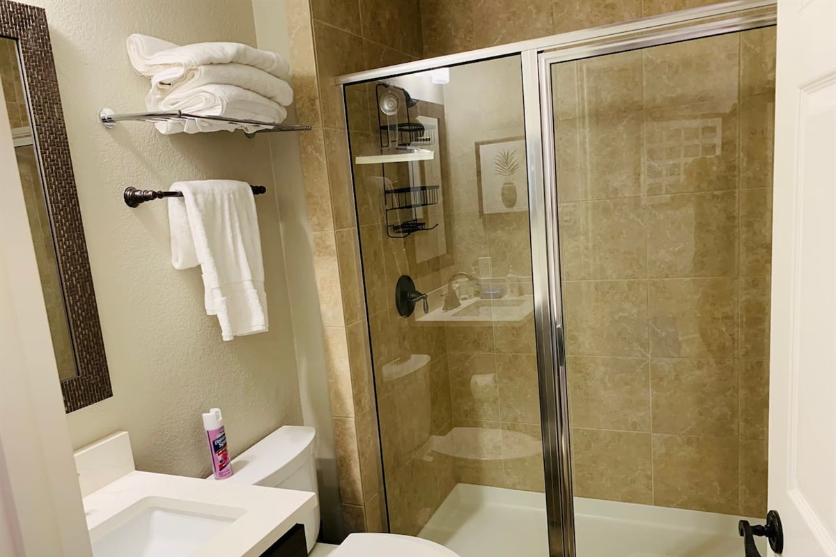 Hall Bath with Walk-in Shower