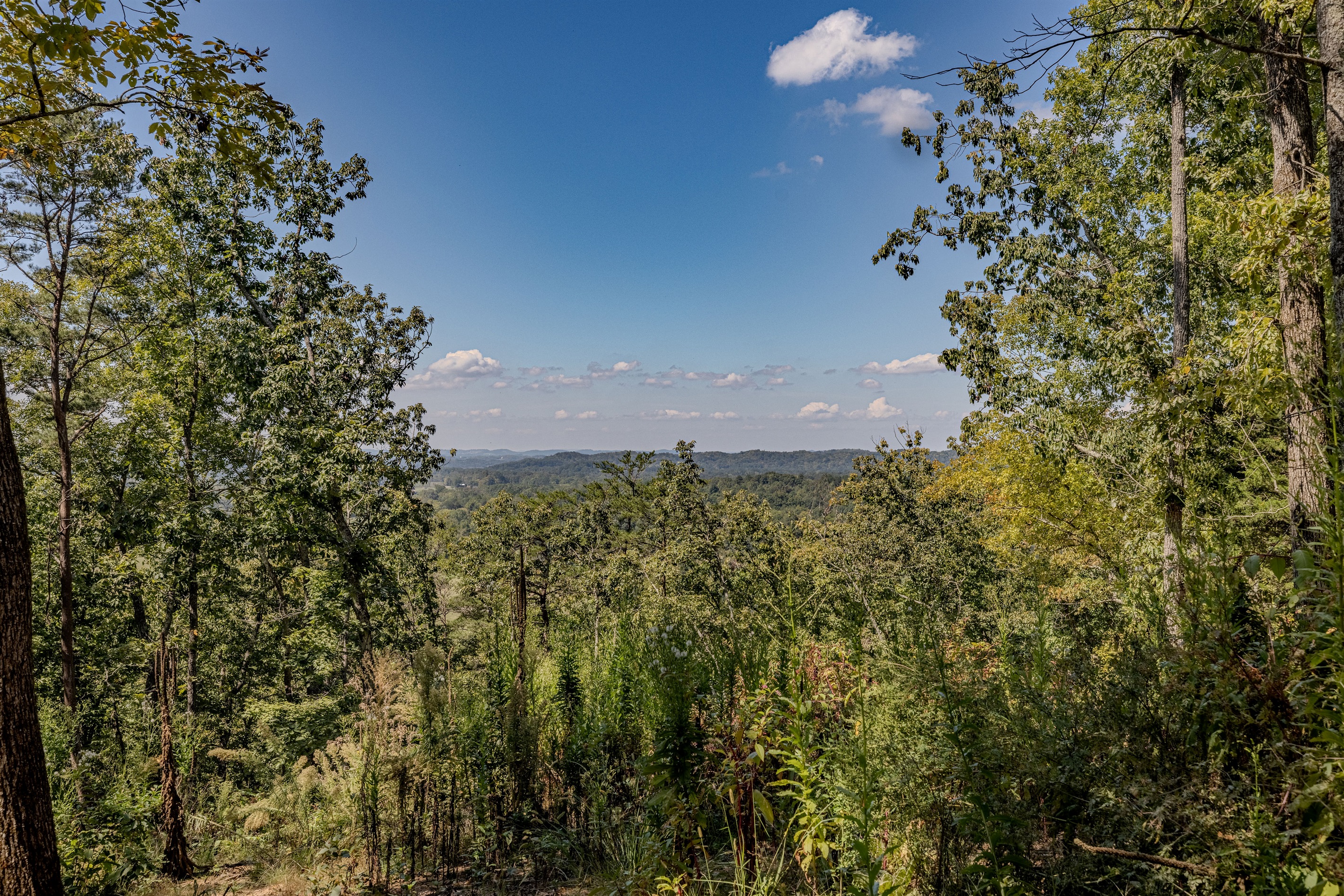 Nature's masterpiece is framed for you. Step up to this vantage point and soak in the fresh air and the wide-open sky. It's the perfect spot for photos and contemplation.
