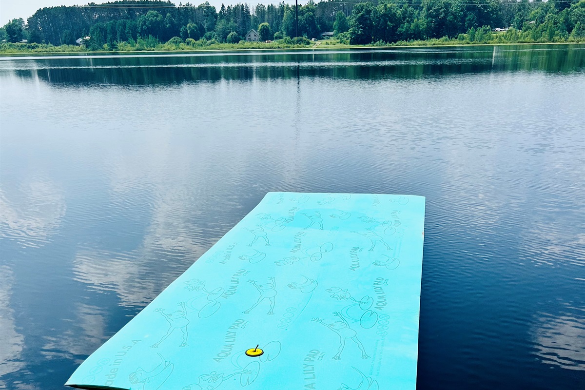 We have a Lilly Pad too! Kids will love playing on it!