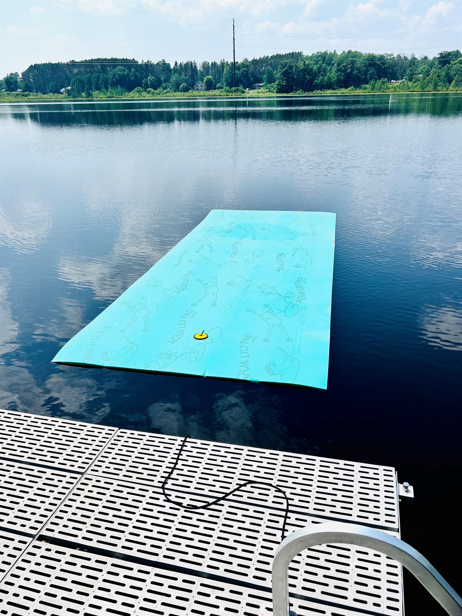 We have a Lilly Pad too! Kids will love playing on it!
