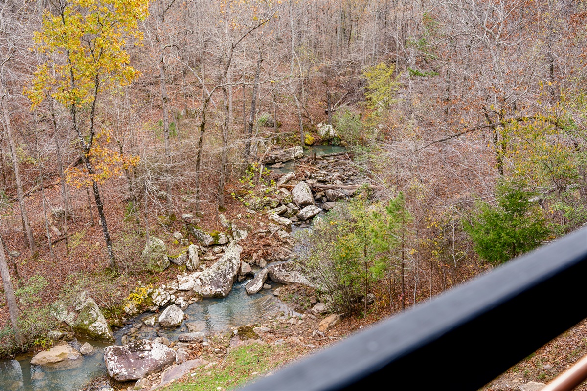 Looking at Creek From Deck