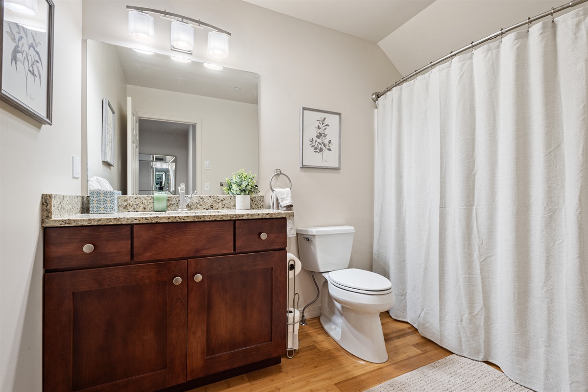 Lower Level- Full bath