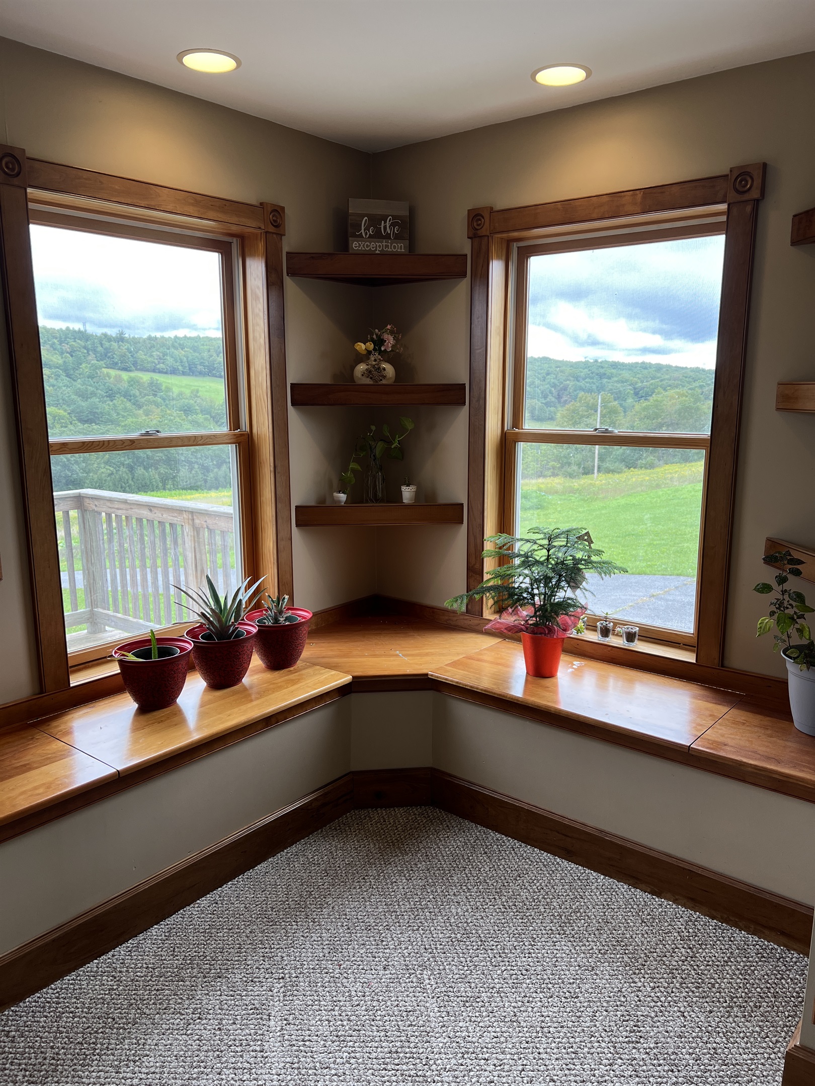 Living room built-ins