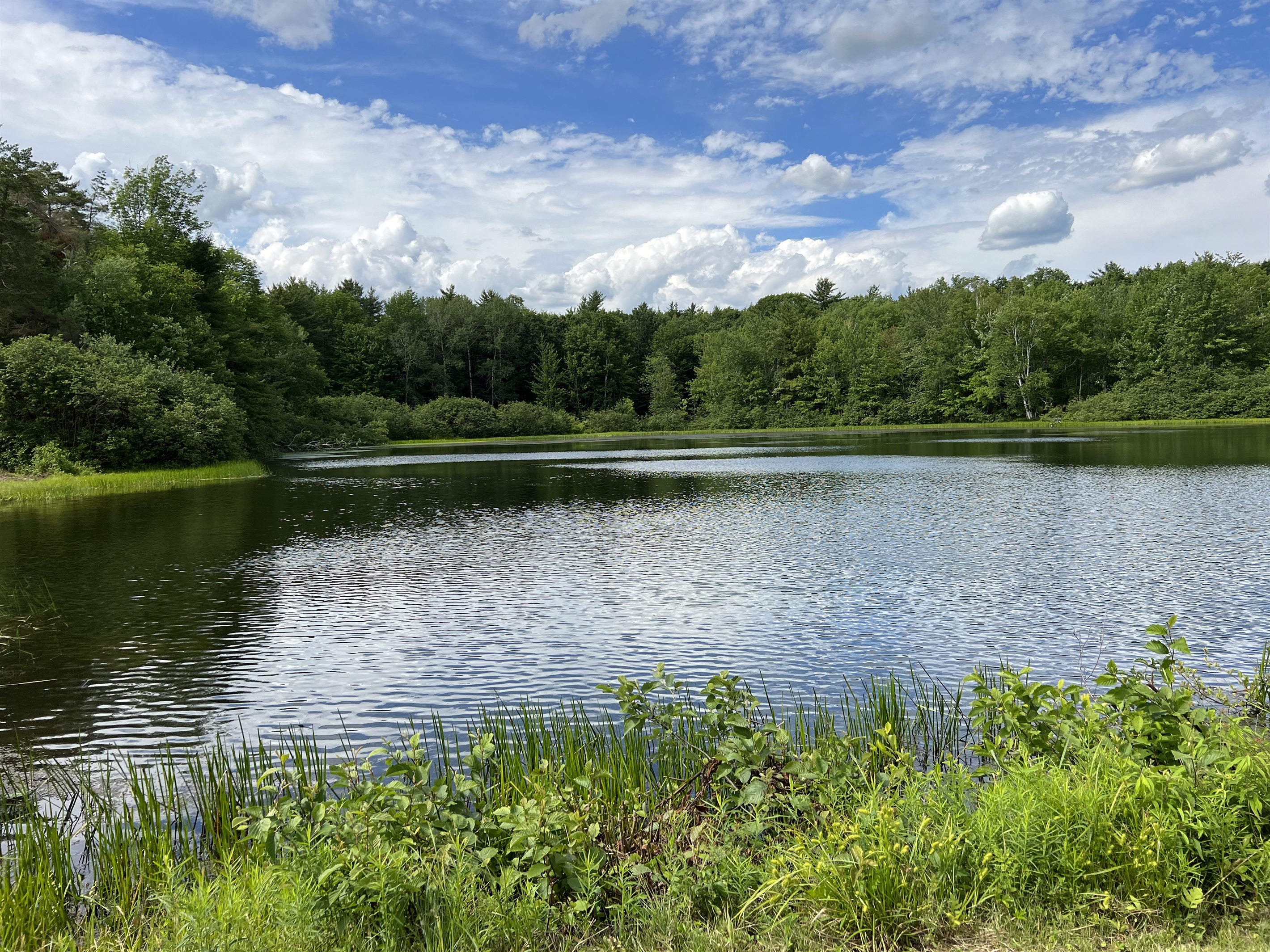 The 5 acres pond is home to bass and other panfish waiting for you for catch and release!
