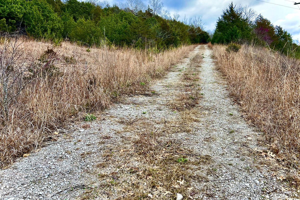 Wide trails for easy walking