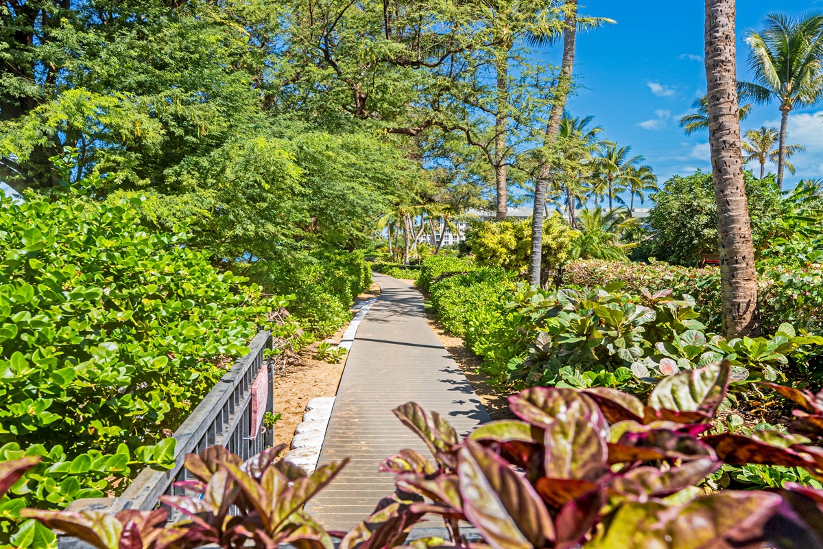 Nature Trail to Explore the Ka'anapali Coast