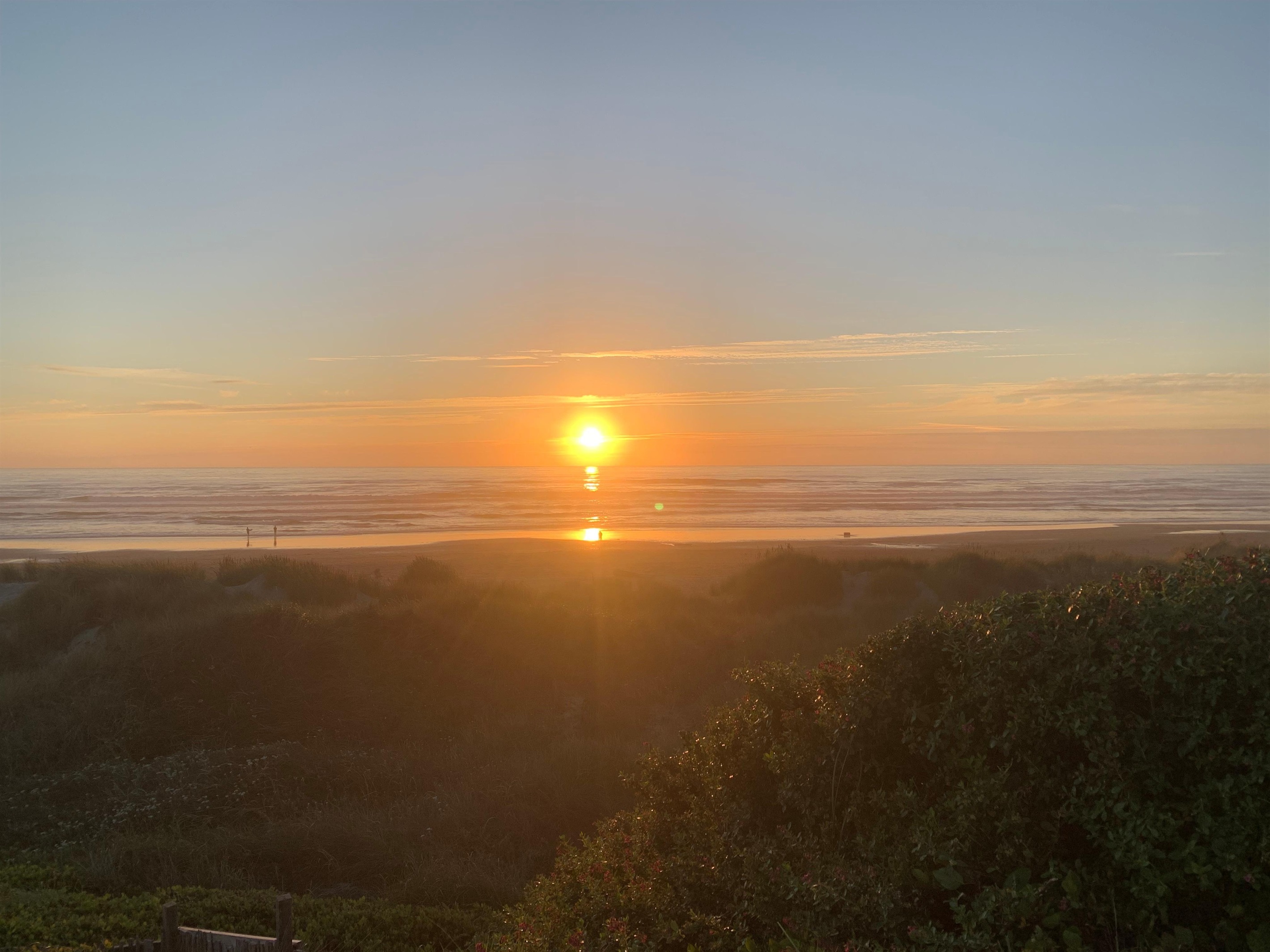 Anne F., Aug 20, 2025