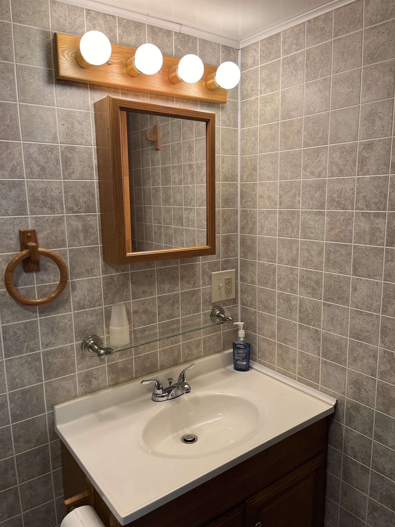 Lower level bathroom with shower