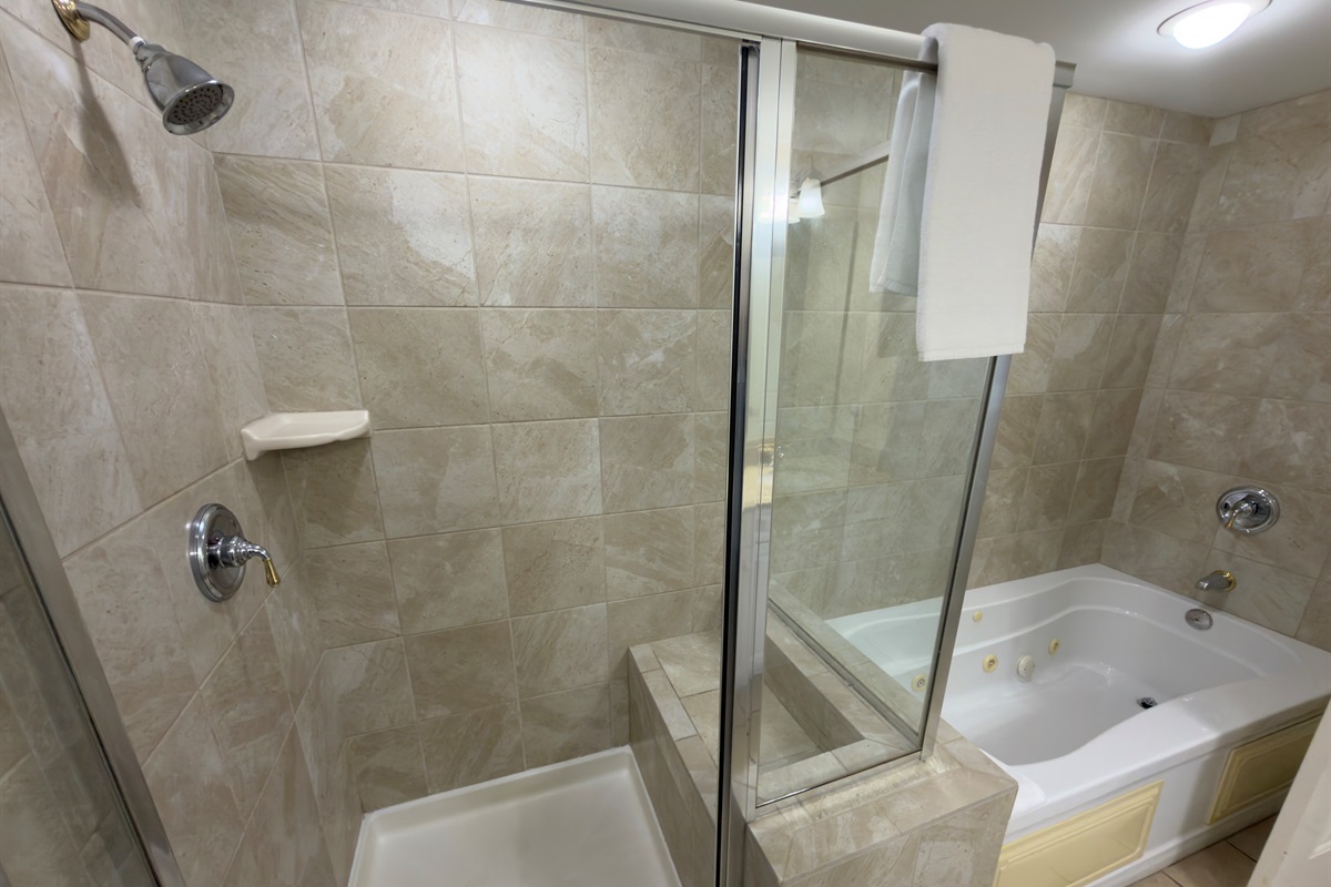 Main Bathroom- Glass Shower and Whirlpool Tub