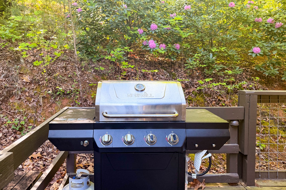 propane grill at the cabin