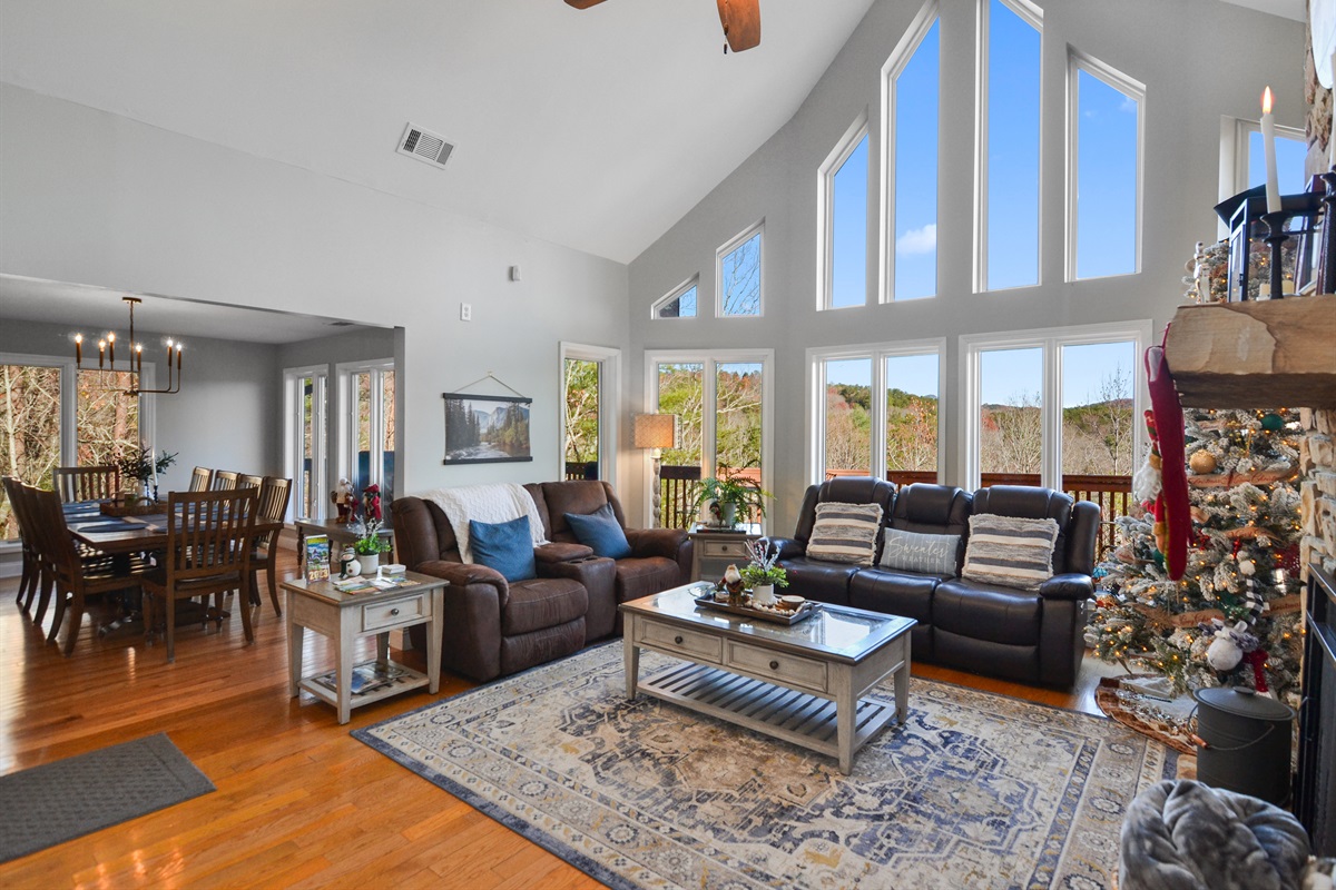 Comfortable sofas and a