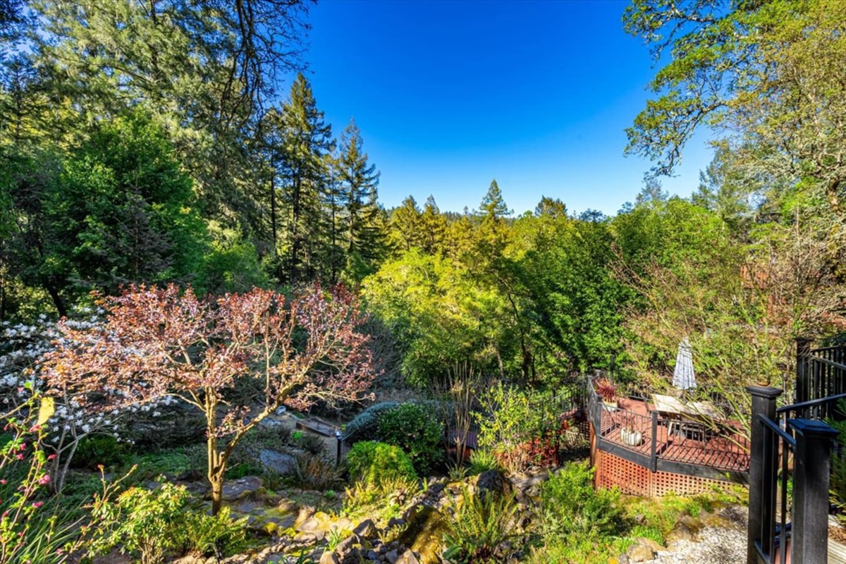 Take in the breathtaking view - isn't it magnificent?