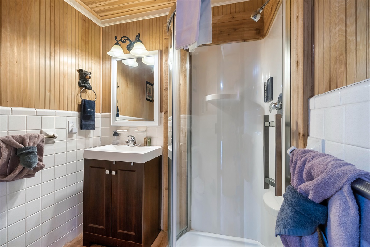 Upper level bathroom with standing shower