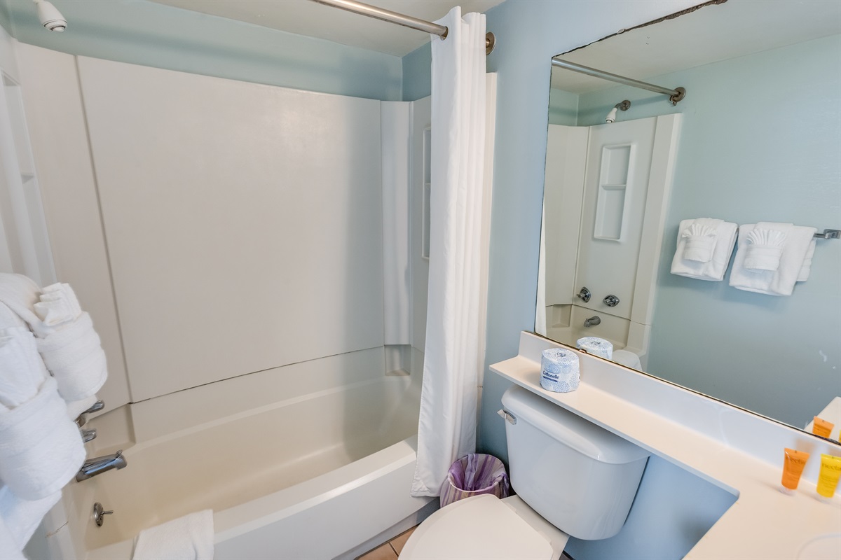 Private Bathroom