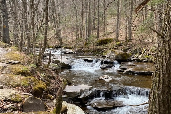 From nearby Diamond Notch Trail