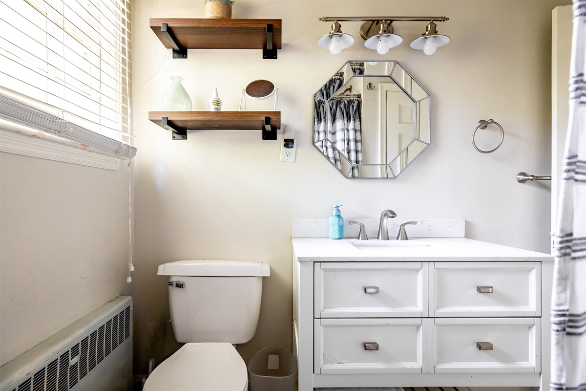 Downstairs hallway bathroom