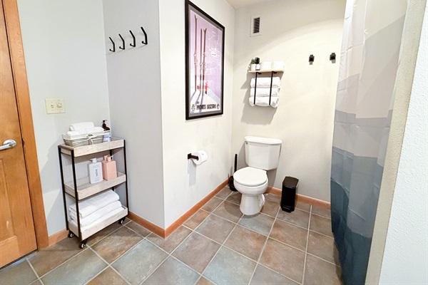 Shampoo, Soap, Hair dryer available