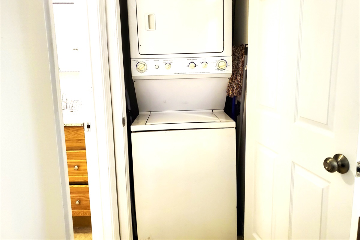 Washer and Dryer Combo in the unit