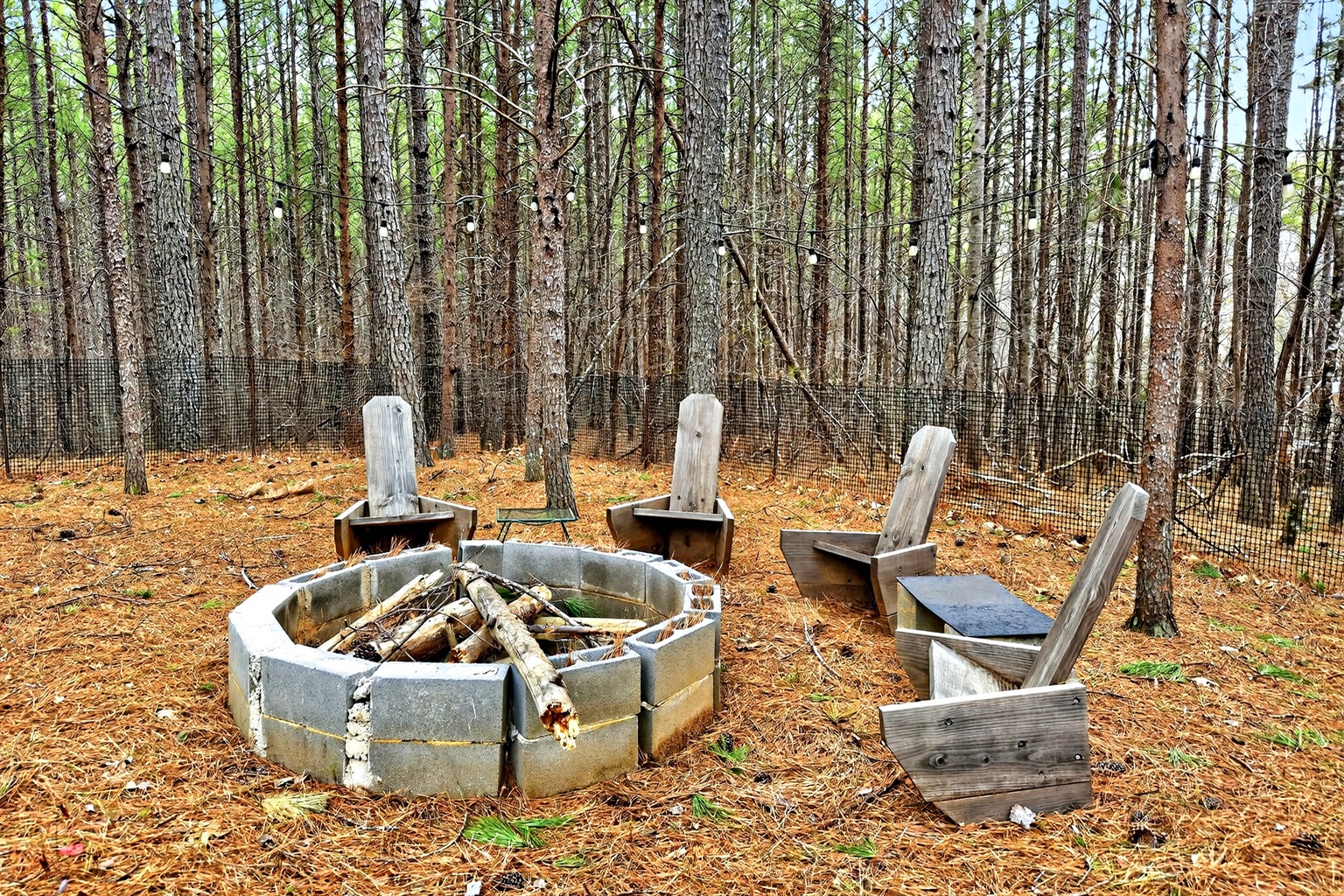 Gather around the fire pit and roast some marshmallows 