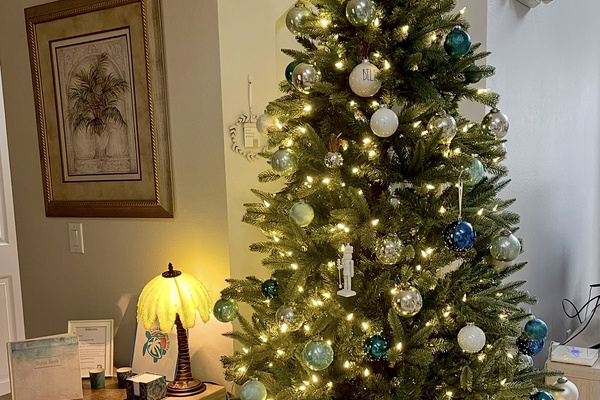 Christmas Tree - 210 lights and boxes of decorations 