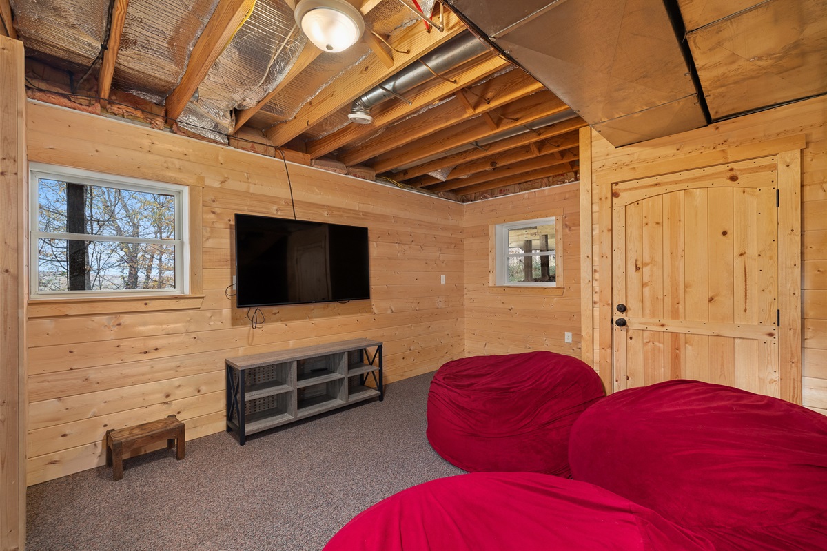 Basement Living Space