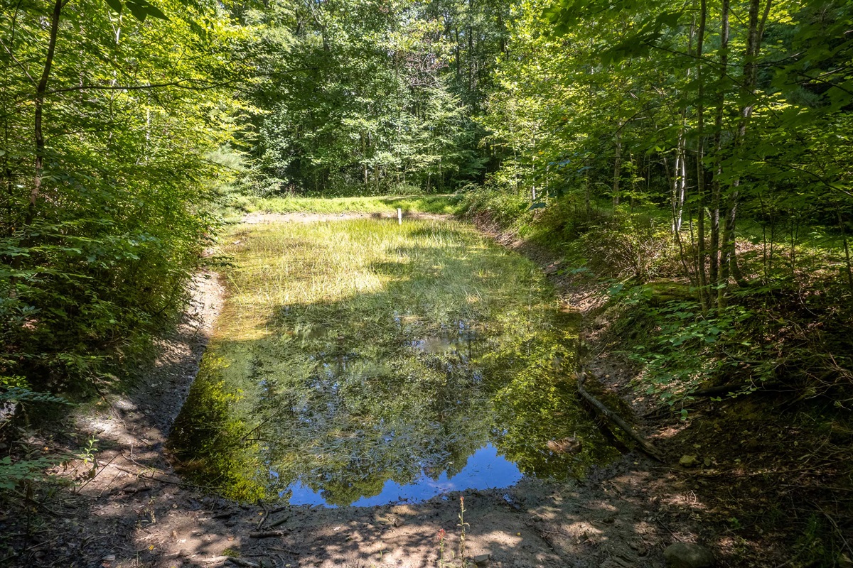 Follow the private path to a quiet pond—perfect for a peaceful morning stroll.