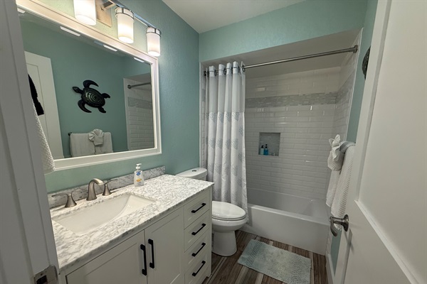 Guest bathroom with tub/tile shower