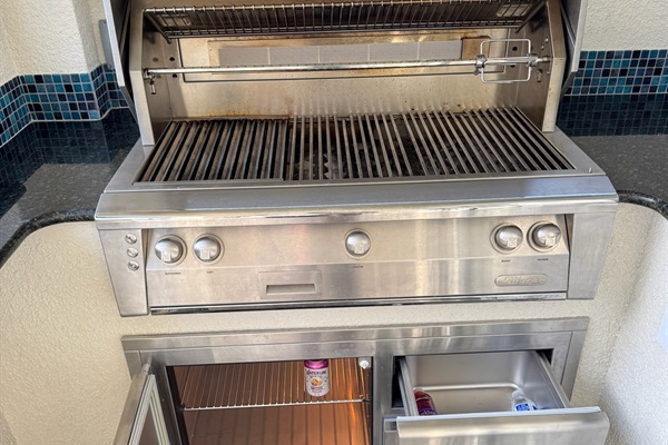 Outdoor grill (with free BBQ gas) and fridge