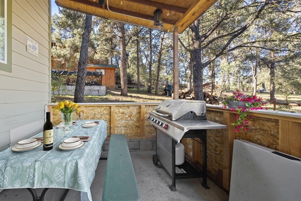 Serene back patio, surrounded by peaceful nature and fresh mountain air.