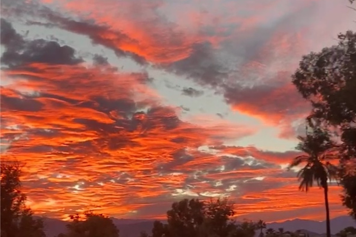 Backyard Sunset 
