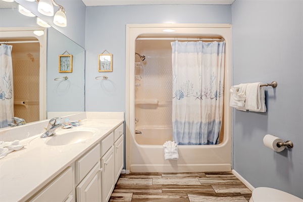 Main bathroom with tub/shower combo