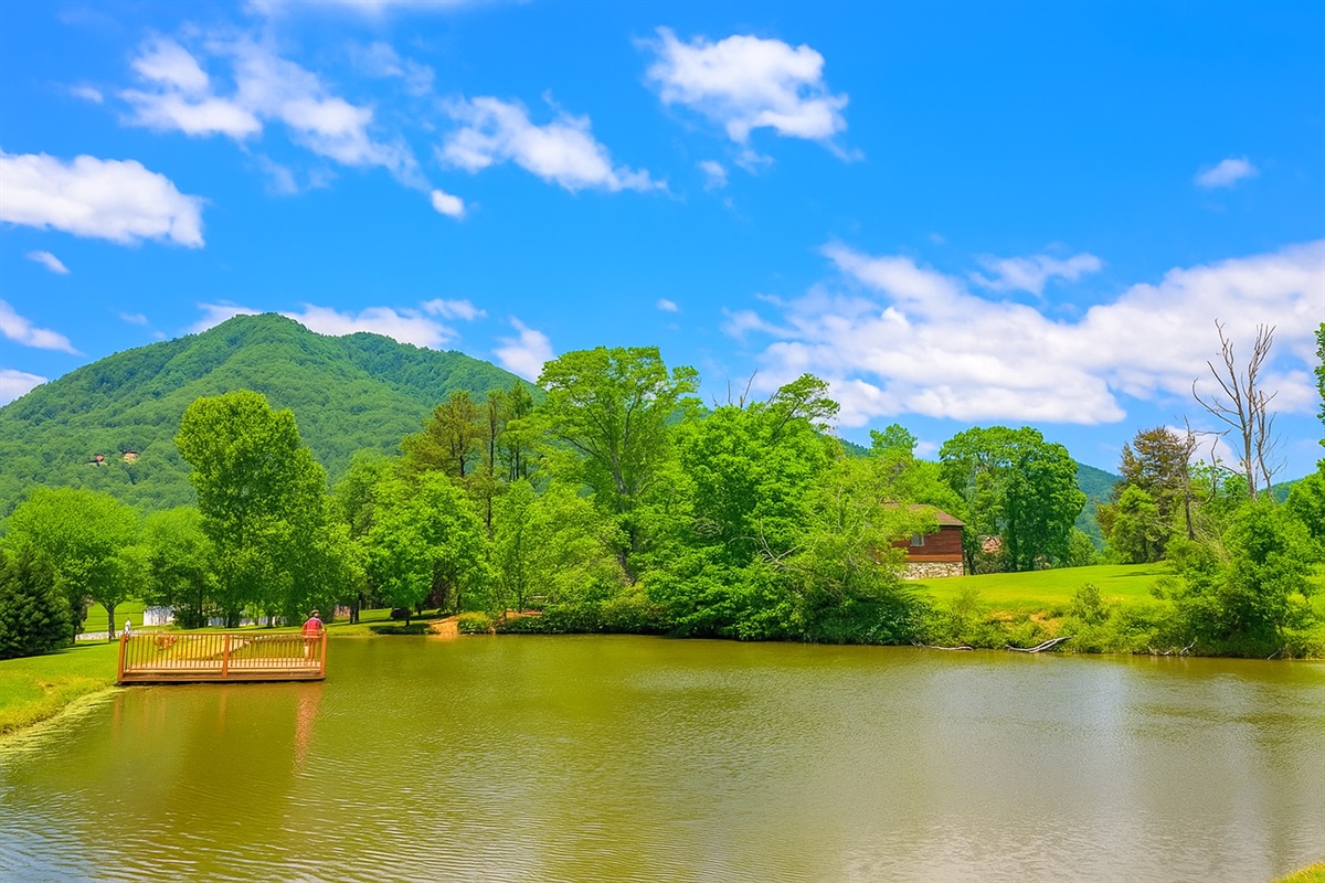 Complimentary year round fishing pond at Honey Suckle Meadows Pool 